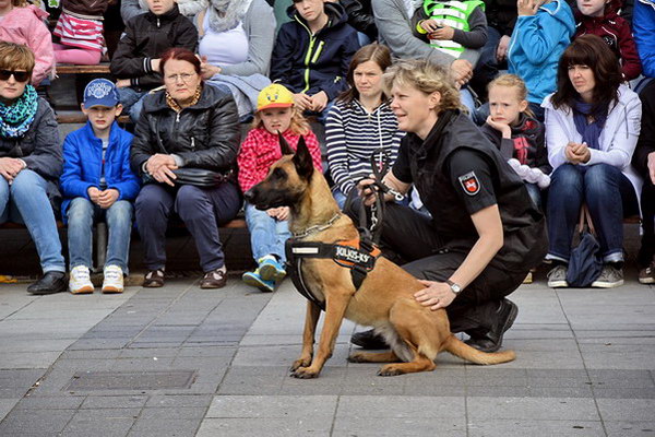 Polizeishow   044.jpg